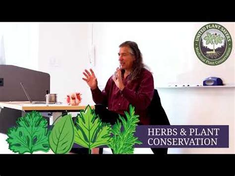 辦公桌植物擺放|2024 最推薦的 15 款辦公室植物，好照顧、美觀又能幫助招財！